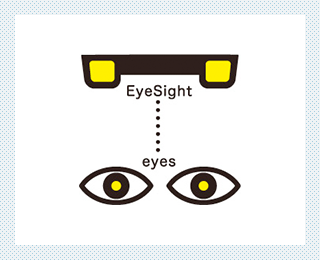 人間の２つの目と同じように２つのカメラで見ている。